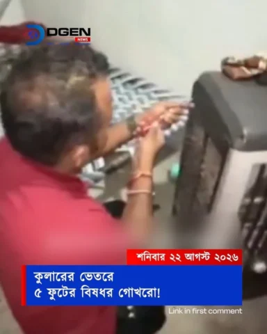 কুলারের ভেতরে ৫ ফুটের বিষধর গোখরো!