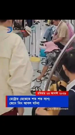 চলন্ত মেট্রোতে শত শত সাপ দেখে আতঙ্ক! কিন্তু আসল ঘটনা কী?