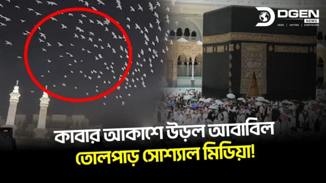 মক্কার আকাশে ঝাঁকে ঝাঁকে আবাবিল পাখি! তবে কি কোনো বিশেষ সংকেত?