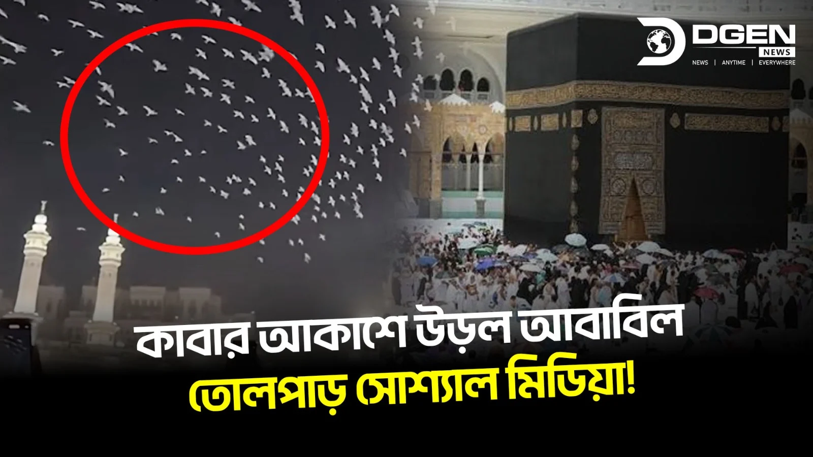 মক্কার আকাশে ঝাঁকে ঝাঁকে আবাবিল পাখি! তবে কি কোনো বিশেষ সংকেত?